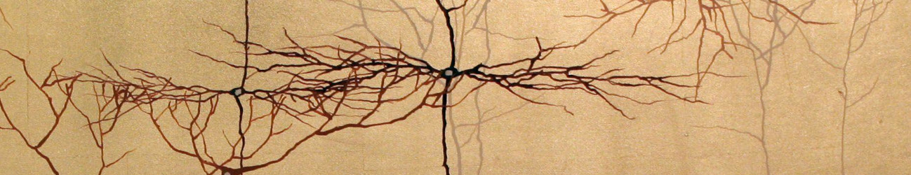 i have a message that i must relay