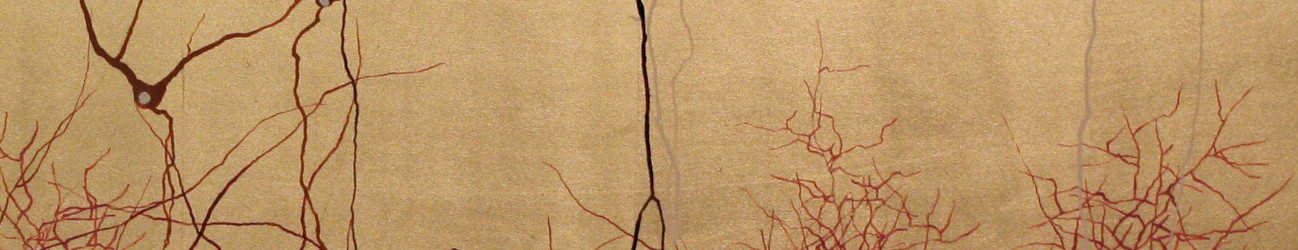 no i cant delay it one more day